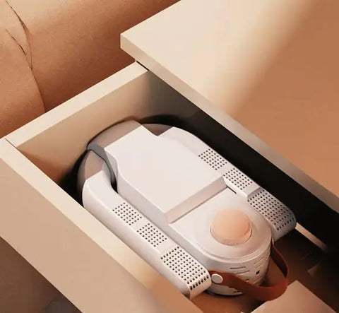 WarmSoles Electric Shoe Dryer